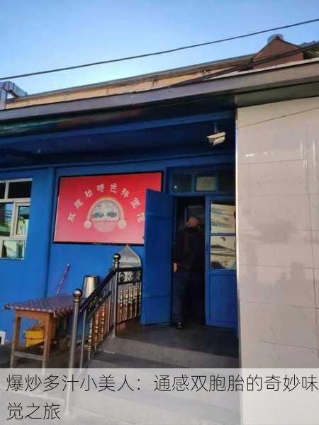 爆炒多汁小美人：通感双胞胎的奇妙味觉之旅