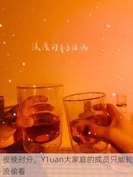 夜晚时分，Y1uan大家庭的成员只能轮流偷看