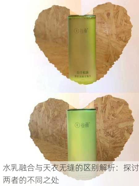 水乳融合与天衣无缝的区别解析：探讨两者的不同之处