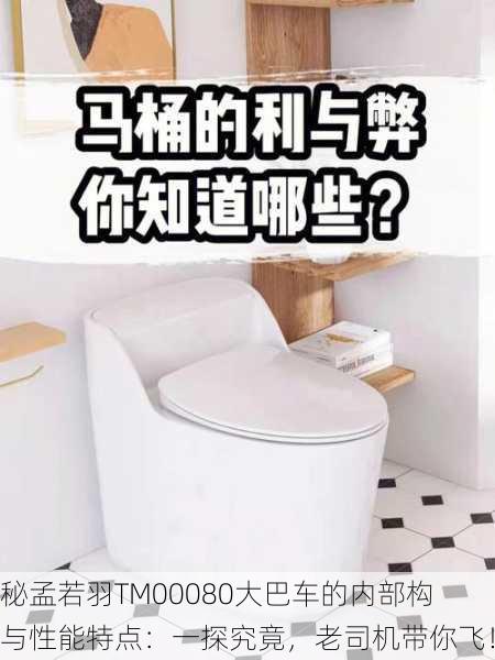 揭秘孟若羽TM00080大巴车的内部构造与性能特点：一探究竟，老司机带你飞！
