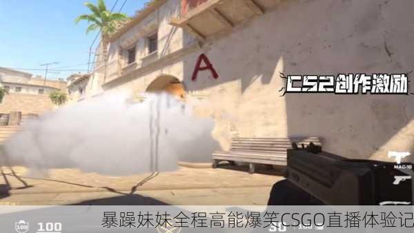 暴躁妹妹全程高能爆笑CSGO直播体验记