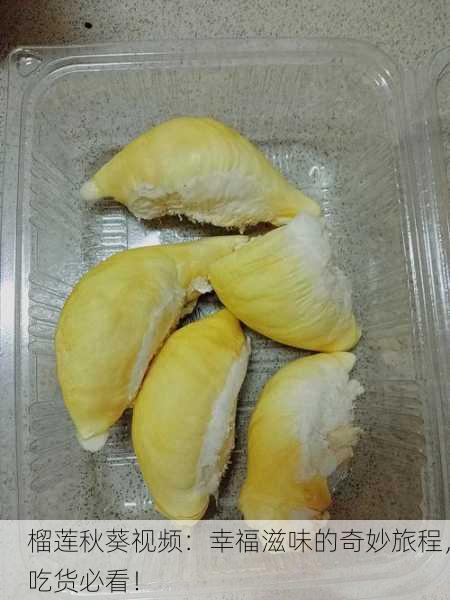 榴莲秋葵视频：幸福滋味的奇妙旅程，吃货必看！