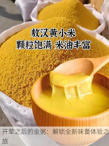 开荤之后的金粥：解锁全新味蕾体验之旅