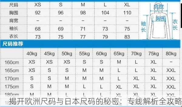 揭开欧洲尺码与日本尺码的秘密：专线解析全攻略