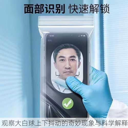 观察大白球上下抖动的奇妙现象与科学解释