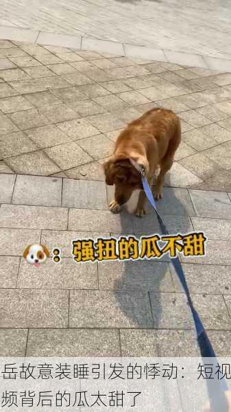岳故意装睡引发的悸动：短视频背后的瓜太甜了