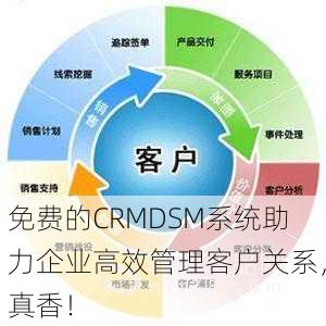 免费的CRMDSM系统助力企业高效管理客户关系，真香！