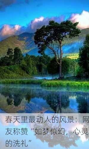 春天里最动人的风景：网友称赞“如梦似幻，心灵的洗礼”