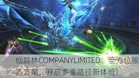 仙踪林COMPANYLIMITED：全方位服务方案，开启多重路径新体验！