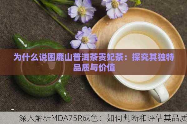 深入解析MDA75R成色：如何判断和评估其品质