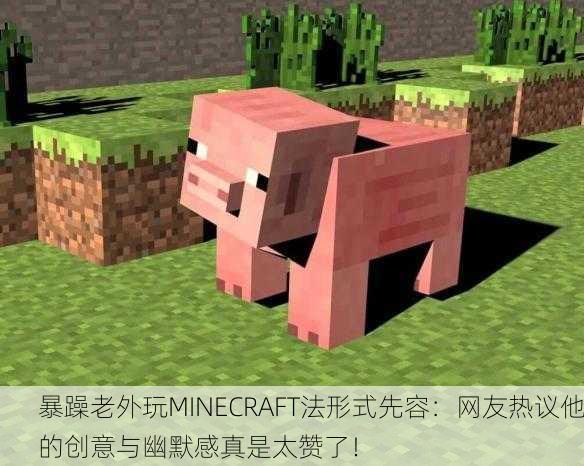 暴躁老外玩MINECRAFT法形式先容：网友热议他的创意与幽默感真是太赞了！