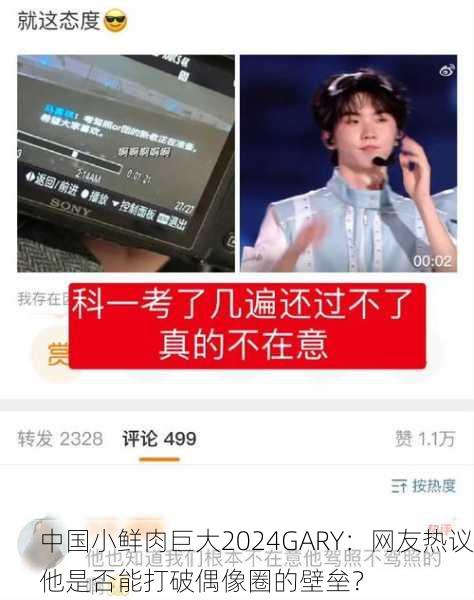 中国小鲜肉巨大2024GARY：网友热议他是否能打破偶像圈的壁垒？