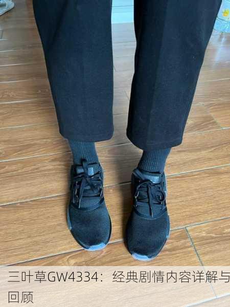三叶草GW4334：经典剧情内容详解与回顾