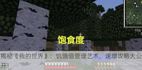 揭秘《我的世界》：饥饿值管理艺术，速增攻略大公开！