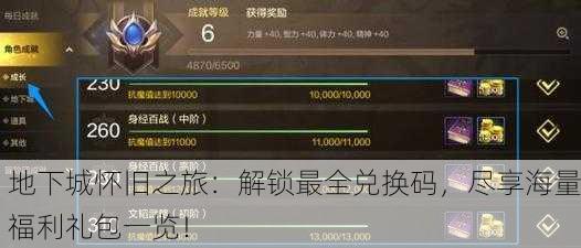 地下城怀旧之旅：解锁最全兑换码，尽享海量福利礼包一览！