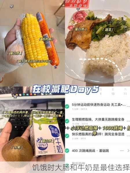 饥饿时大肠和牛奶是最佳选择