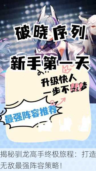 揭秘驯龙高手终极旅程：打造无敌最强阵容策略！