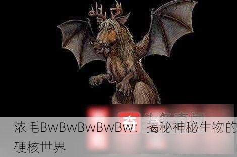浓毛BwBwBwBwBw：揭秘神秘生物的硬核世界
