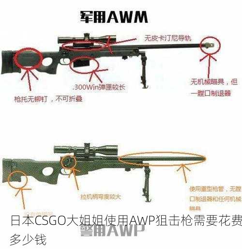 日本CSGO大姐姐使用AWP狙击枪需要花费多少钱