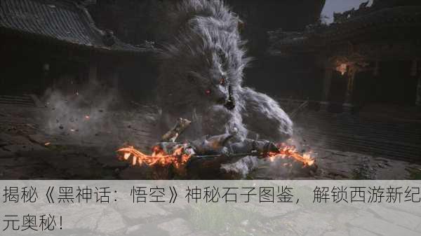 揭秘《黑神话：悟空》神秘石子图鉴，解锁西游新纪元奥秘！