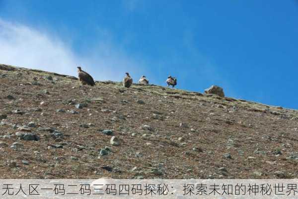 无人区一码二码三码四码探秘：探索未知的神秘世界