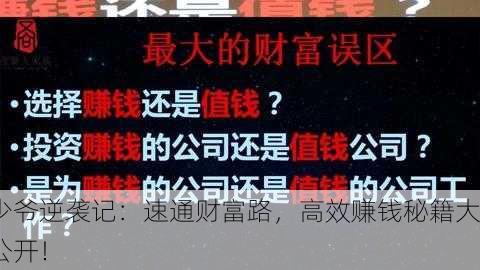 少爷逆袭记：速通财富路，高效赚钱秘籍大公开！