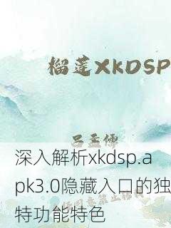 深入解析xkdsp.apk3.0隐藏入口的独特功能特色