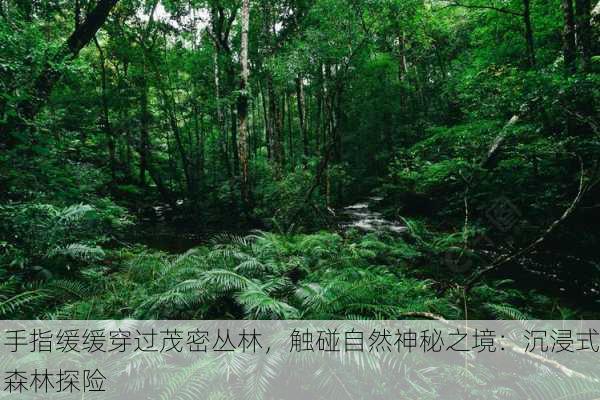 手指缓缓穿过茂密丛林，触碰自然神秘之境：沉浸式森林探险