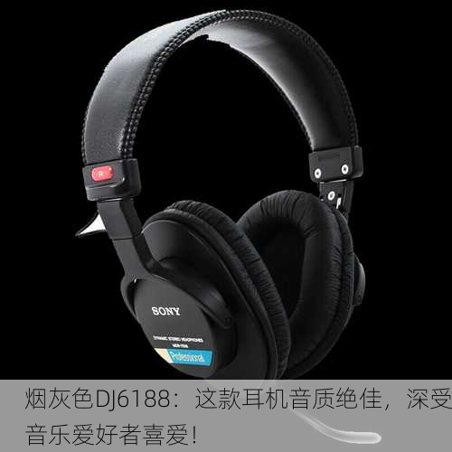 烟灰色DJ6188：这款耳机音质绝佳，深受音乐爱好者喜爱！