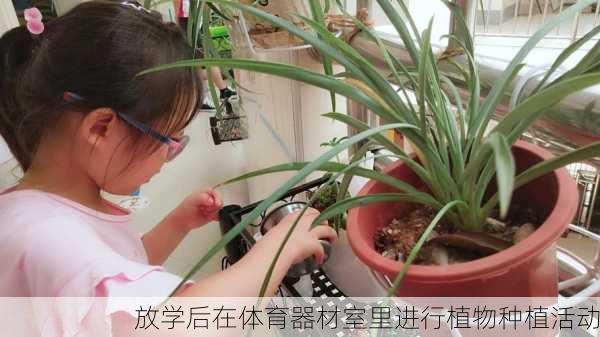 放学后在体育器材室里进行植物种植活动