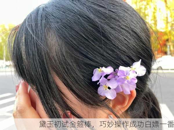 黛玉初试金箍棒，巧妙操作成功白嫖一番
