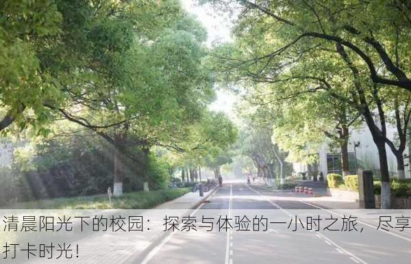 清晨阳光下的校园：探索与体验的一小时之旅，尽享打卡时光！