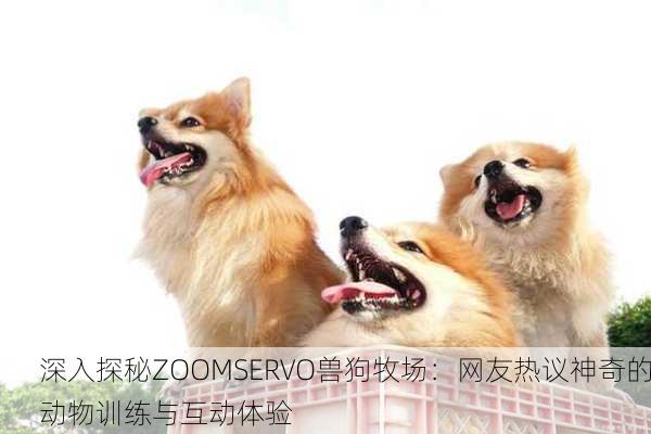 深入探秘ZOOMSERVO兽狗牧场：网友热议神奇的动物训练与互动体验