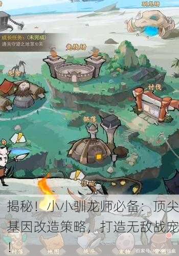 揭秘！小小驯龙师必备：顶尖基因改造策略，打造无敌战宠！