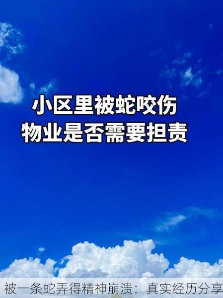 被一条蛇弄得精神崩溃：真实经历分享