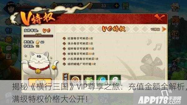 揭秘《横行三国》VIP尊享之旅：充值金额全解析，满级特权价格大公开！