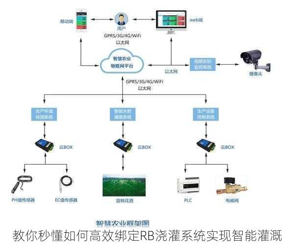 教你秒懂如何高效绑定RB浇灌系统实现智能灌溉