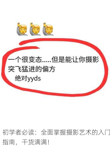初学者必读：全面掌握摄影艺术的入门指南，干货满满！