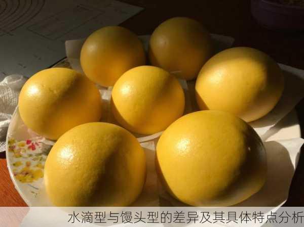 水滴型与馒头型的差异及其具体特点分析