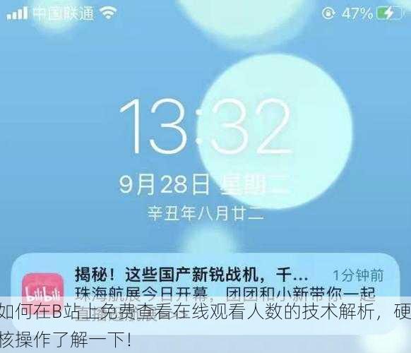 如何在B站上免费查看在线观看人数的技术解析，硬核操作了解一下！