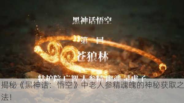 揭秘《黑神话：悟空》中老人参精魂魄的神秘获取之法！
