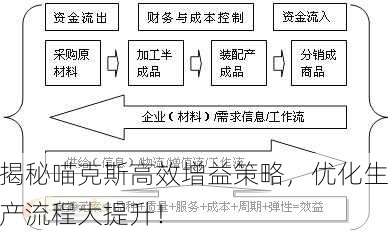 揭秘喵克斯高效增益策略，优化生产流程大提升！
