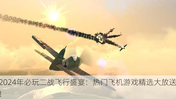 2024年必玩二战飞行盛宴：热门飞机游戏精选大放送！