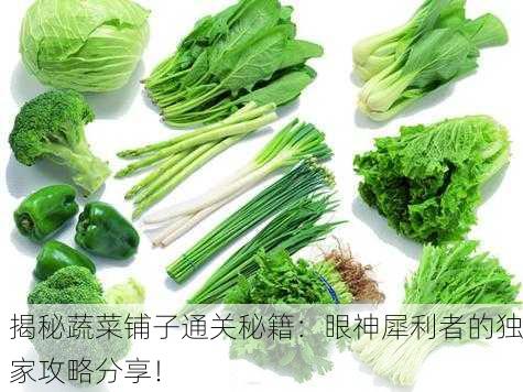 揭秘蔬菜铺子通关秘籍：眼神犀利者的独家攻略分享！