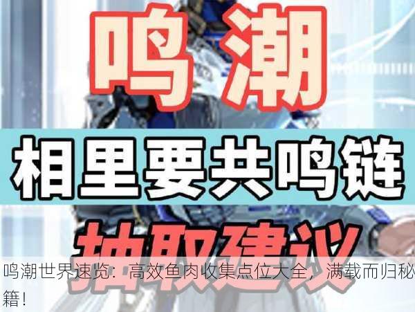 鸣潮世界速览：高效鱼肉收集点位大全，满载而归秘籍！