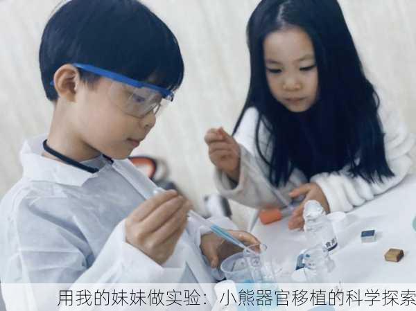 用我的妹妹做实验：小熊器官移植的科学探索