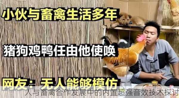 人与畜禽合作发展中的内置超强音效技术探讨