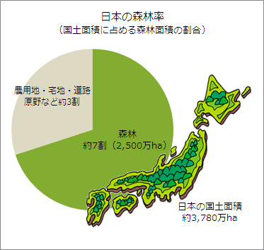 探索日本无人区神秘代码：一码、二码、三码与四码详解