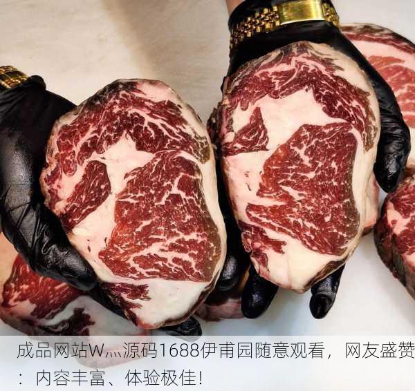 成品网站W灬源码1688伊甫园随意观看，网友盛赞：内容丰富、体验极佳！