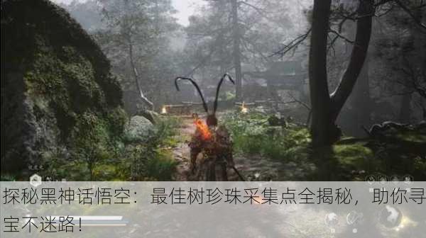 探秘黑神话悟空：最佳树珍珠采集点全揭秘，助你寻宝不迷路！